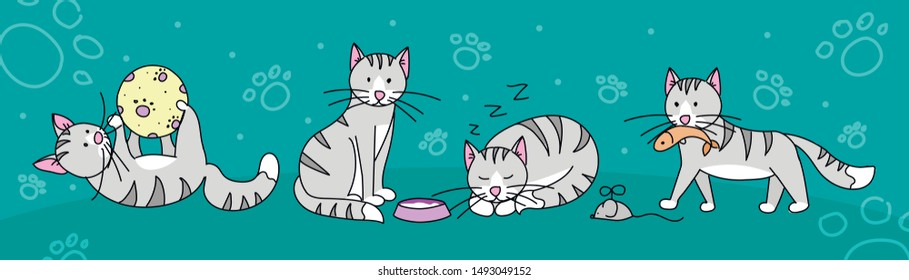 set of cute grey cats playing, sleeping and doing different activities