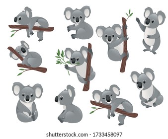 Set of cute grey koala bear in different poses eating sleeping leaves cartoon animal design flat vector illustration isolated on white background