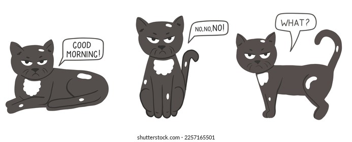 Set with cute grumpy cat in cartoon style. Vector illustration