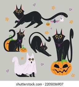 Set of Cute Halloween Cat illustrations and design elements with owl, black cat and spider