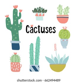 Set of cute hand drawn cactus and succulent plants in pots. Isolated floral vector objects. Cartoon illustrations.
