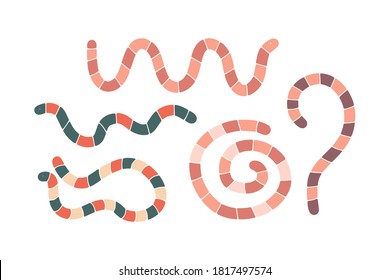 Set of cute hand drawn cartoon worms in different poses isolated on white background vector illustration