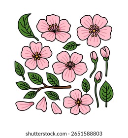 Um conjunto de flor de cerejeira desenhada à mão bonito, folhas, botões, pétala e desenho de caule. Adequado para adesivo, clip-art, ativos de design, decoração e muito mais.