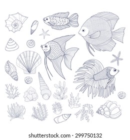 Set of cute hand drawn contour fish, shells and algae. Vector