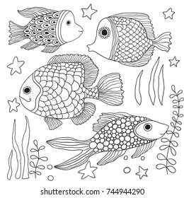 Set of cute hand drawn contour fish, shells and algae. Vector illustration. Color book