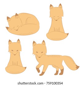 Set of cute hand drawn doodle Fox in different poses. funny Fox .Vector illustration in Doodle style for baby fashion. 