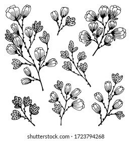 Set of cute hand drawn elements blooming branches tree, isolated on a white background. Simple outline illustration. It can be used for decoration of various surfaces.