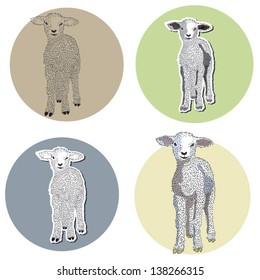 Set of cute hand drawn ewes vector illustration