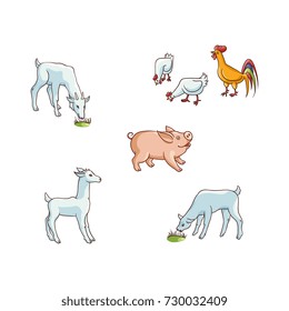 Set of cute hand drawn farm animals - chicken, pig, goat and lamb, flat cartoon vector illustration isolated on white background. Funny cartoon chicken, hen and rooster, pig, lamb and goat farm animal