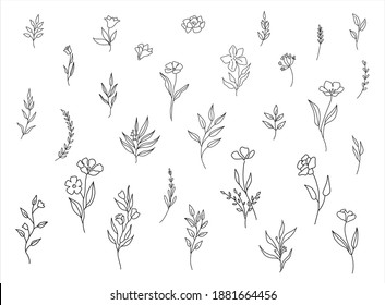 Set of cute hand drawn flowers, branches, leaves. Vector line arrangements for greeting card or invitation design