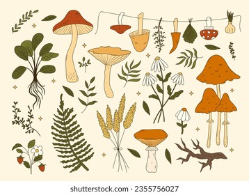 Set of cute hand drawn forest illustrations. Green witch aesthetic. Mushrooms, fern, herbs, elements for fairy witchcraft design. Cartoon herbology vector art