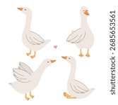 Set of cute hand drawn geese. Set of cute farm gooses in different poses vector collection. Agriculture birds. Four white goose in different poses vector collection.