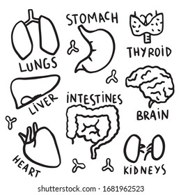 Set of cute hand drawn human organs with their names hand written.  Drawn in a childish style, unstraight lines, black and white silhouettes and outlines. 
