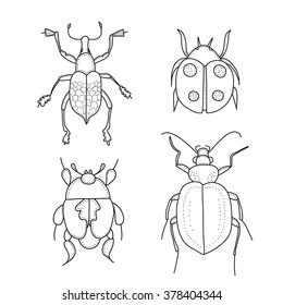 Set of cute hand drawn ornamental beetles