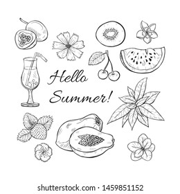 Set of cute hand drawn summer fresh fruits and flowers. Vector