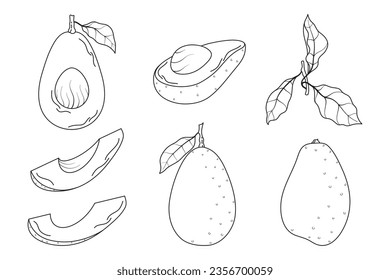 Set of cute hand drawn various avocado with leaves. Vector line illustration. Collection of graphic elements for packaging, print, card, fabric, label, wallpaper, textile, wrapping paper, gift.