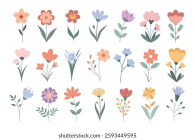 Set of cute hand drawn wild flowers. Beautiful collection of floral elements. Flat illustration