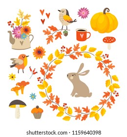 Set of cute hand-drawn autumn elements. Birds and rabbit animal. Flowers, mushrooms, pumpkin and leaves collection. Fall, thanksgiving concept. Isolated vector illustrations, objects. Flat design.