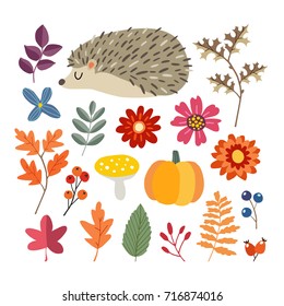 Set of cute hand-drawn autumn elements. Hedgehog, pumpkin and various flowers, berries and leaves collection. Fall concept. Isolated vector illustrations, objects. Flat design.