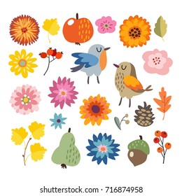 Set of cute hand-drawn autumn, fall elements. Birds and various flowers, fruit and leaves collection. Isolated vector illustrations, objects. Flat design.