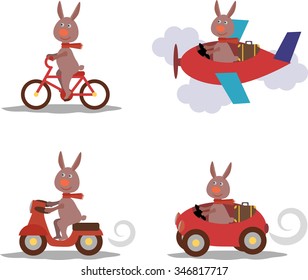 Set cute hare rabbit with scarf on scooter,bike,airplane,car.EPS8,Vector.rabbit isolate.rabbit isolated vector.rabbit vector.aviator,delivery,transport vector,bunny vector,easter bunny vector,sport