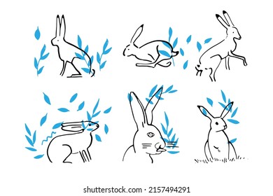 Set of cute hares doodle drawing for yours design and print. Rabbits or hares farm icons set. Vector