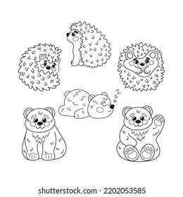 Set of cute hedgehogs and bears. Doodle elements. Collection of doodle outline elements for coloring book, children design.