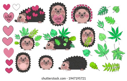 Set of cute hedgehogs in cartoon style with hearts and green leaves. Stock vector illustration isolated on a white background.