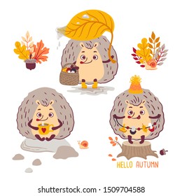 Set with cute hedgehogs isolated on a white background. Vector illustration. Cute cartoon characters.