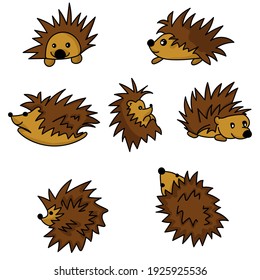 Set of cute hedgehogs in various poses, thorny animals top and side view for design and creativity vector illustration