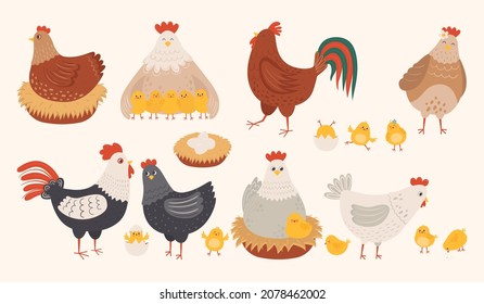 Set of cute hen, rooster and chicks in flat style. Adorable family of chicken characters for children. Hand drawn farm birds vector illustration