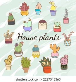 Conjunto de lindas plantas de casa en ollas, dibujo a mano. Colorido conjunto botánico