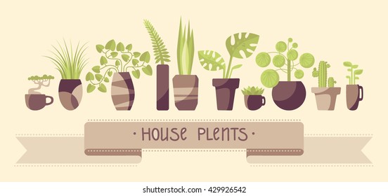 Set of cute houseplants in pots.