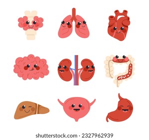 Set of cute human internal organs. Heart, lungs, liver and kidneys. Biology and anatomy. Educational materials and infographics. Cartoon flat vector collection isolated on white background
