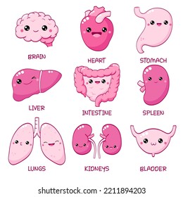 Set of cute human organs in kawaii style with smiling face and pink cheeks. Collection of funny human internal organs characters. Vector illustration EPS8  