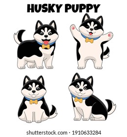 set of cute husky puppy dog