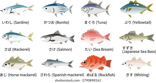 
A set of cute illustrations of sea fish. Includes skipjack tuna, tuna, sea bream, horse mackerel, and more.