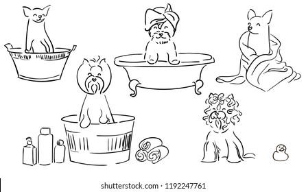 A set of cute illustrations of small dogs during grooming. Coloring for children. Decorative breeds of dogs.