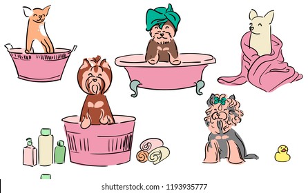 A set of cute illustrations of small dogs during grooming.  Decorative breeds of dogs. Illustration for children.Hair care and grooming of dogs.