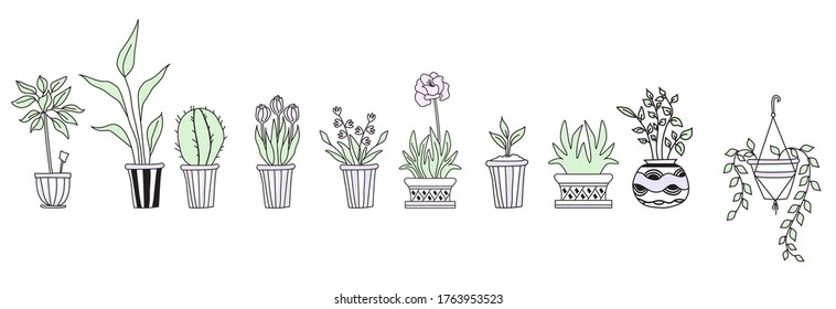 Set of cute indoor plants in pots, hand-drawing. Botanical set - a lot of flowerpots - cactus, tulips, flowers, sprouts. Line vector drawing