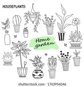 Set of cute indoor plants in pots. House of flowers and human hobbies. Botanical set - many flowerpots - cacti, tulips, flowers, seedlings, aloe, tropic. Weaves and butterflies. Vector line doodles.