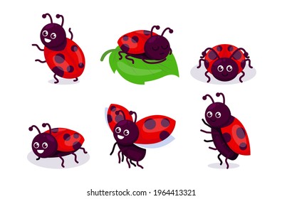 Conjunto de adorables ilustraciones de diseño de mascota de insectos