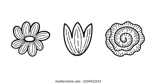 Conjunto de adorable elemento de una sola flor aislado en estilo doodle para diferentes tipos de decoración, postales, pegatinas.