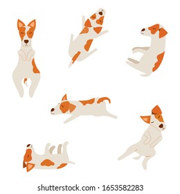 Set of cute jack russell terriers. Pattern with sleeping dogs in different poses. Vector cartoon illustration