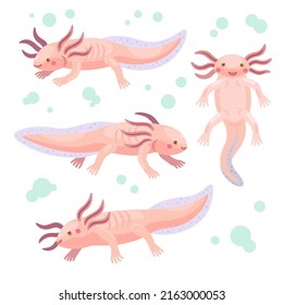 Set of cute joy cartoon pink axolotl in various positions. 