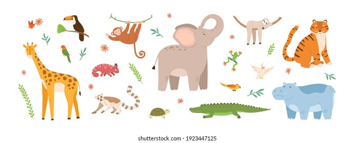 Set cute jungle animals  Collection exotic tropical birds  tiger  giraffe  monkey  chameleon   turtle  Childish characters  Colored flat vector illustration isolated white background