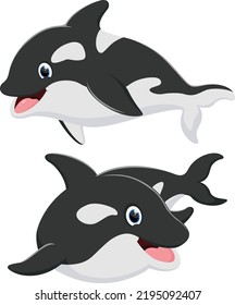 Set of Cute killer whale cartoon