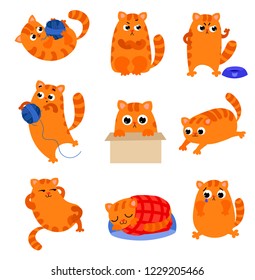 Set of cute kitten with different emotions. The kitten is angry, crying, sleeping wrapped in a blanket, playing with a ball and more.