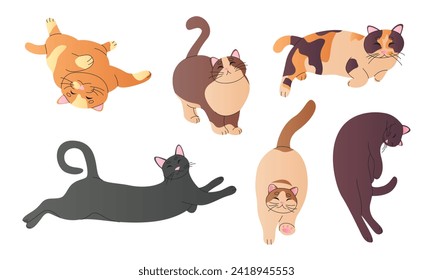 Set of cute kitten, funny cats relaxing, sleeping, playing.Happy international fluffy cat day characters in different poses.Adorable pet animals with amusing expressions, emotions.Flat line stickers