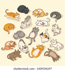 Set of cute kitten isolated on pastel background : Vector Illustration